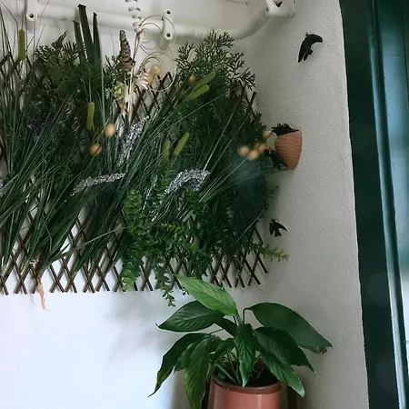 House Alfama Apartman *