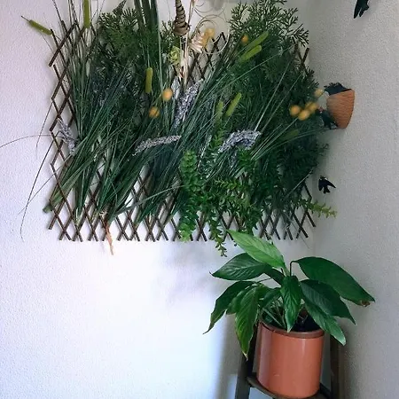 Апартаменты House Alfama Лиссабон